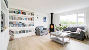 TV, fireplace, DVD player, books