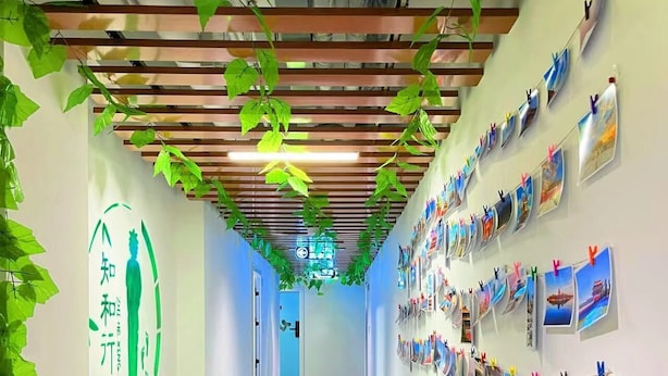 A hallway with a wooden ceiling, green hanging plants, and a wall with photos and clips.