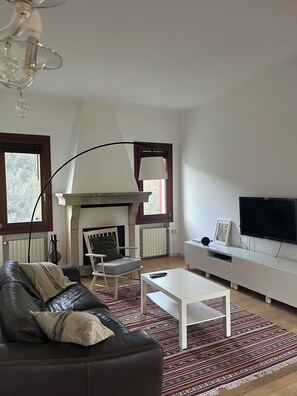 TV, fireplace, books, printers