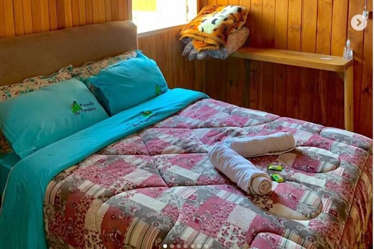 A wooden room with a bed, a window, and a shelf.