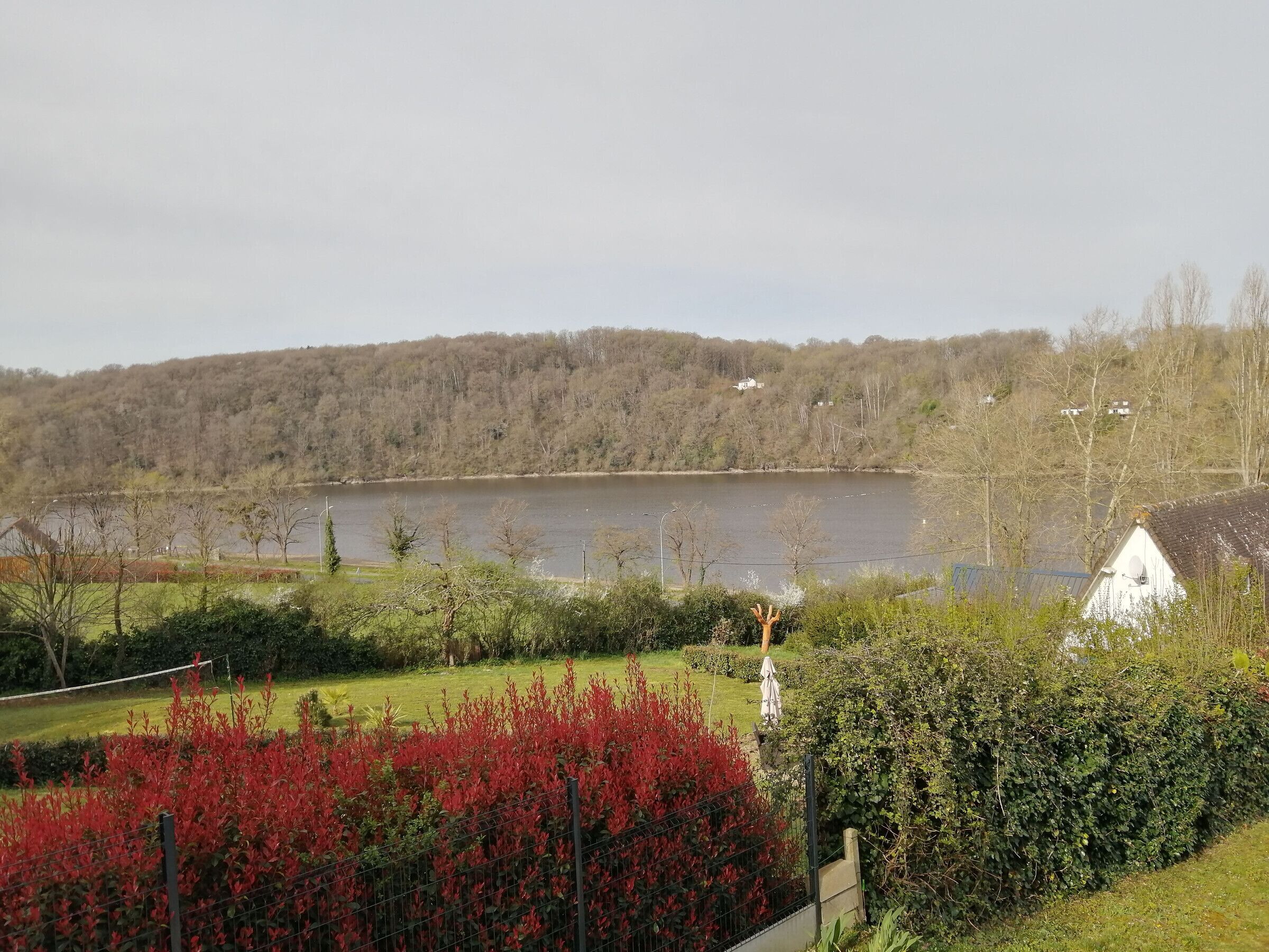 Vista del lago con una casa, bosque denso y plantas rojas florecientes.