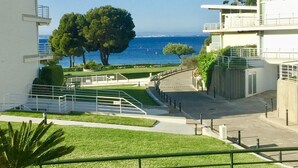 Un edificio moderno con vista al mar, un árbol grande y un césped bien cuidado.