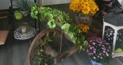 Ferienwohnung im Hofcafe