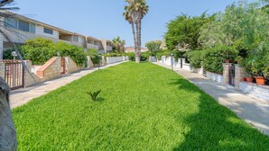 A well-maintained lawn, a tall palm tree, and a building with a tiled roof and windows.