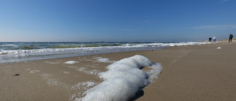 Bungalow | Pemandangan dari hartanah