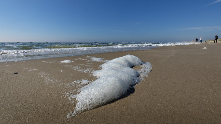Fireplace Bungalow in Family Park