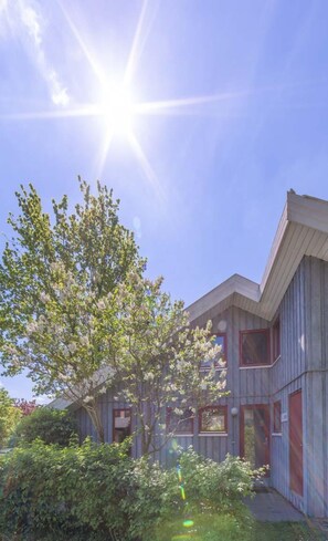 Ferienhaus | Blick von der Unterkunft