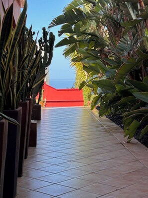 Property grounds - RED-HOUSE, Red-House Tenerife Sur (Costa Adeje)