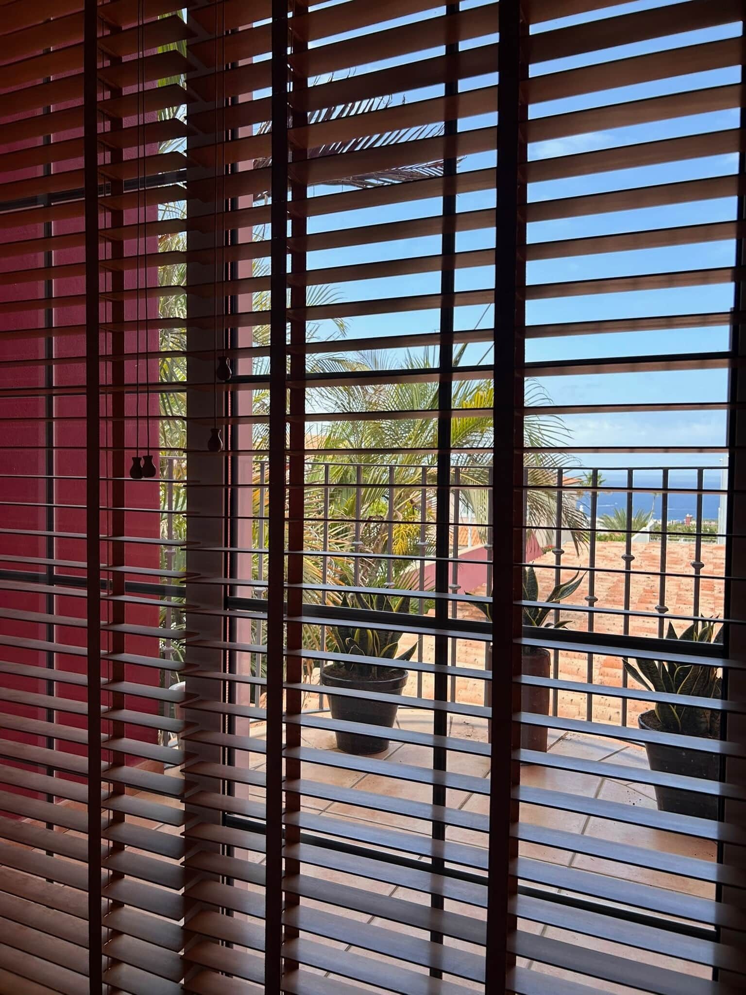 A balcony with potted plants and a view of the sea.