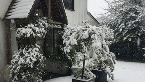 Esterni