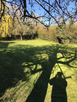 A grassy area with shadows of trees and a clear sky. - White house (Bishop's Stortford)