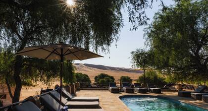 Experience Wahiba in the comfort of our Premium Tents at Thousand Nights Camp