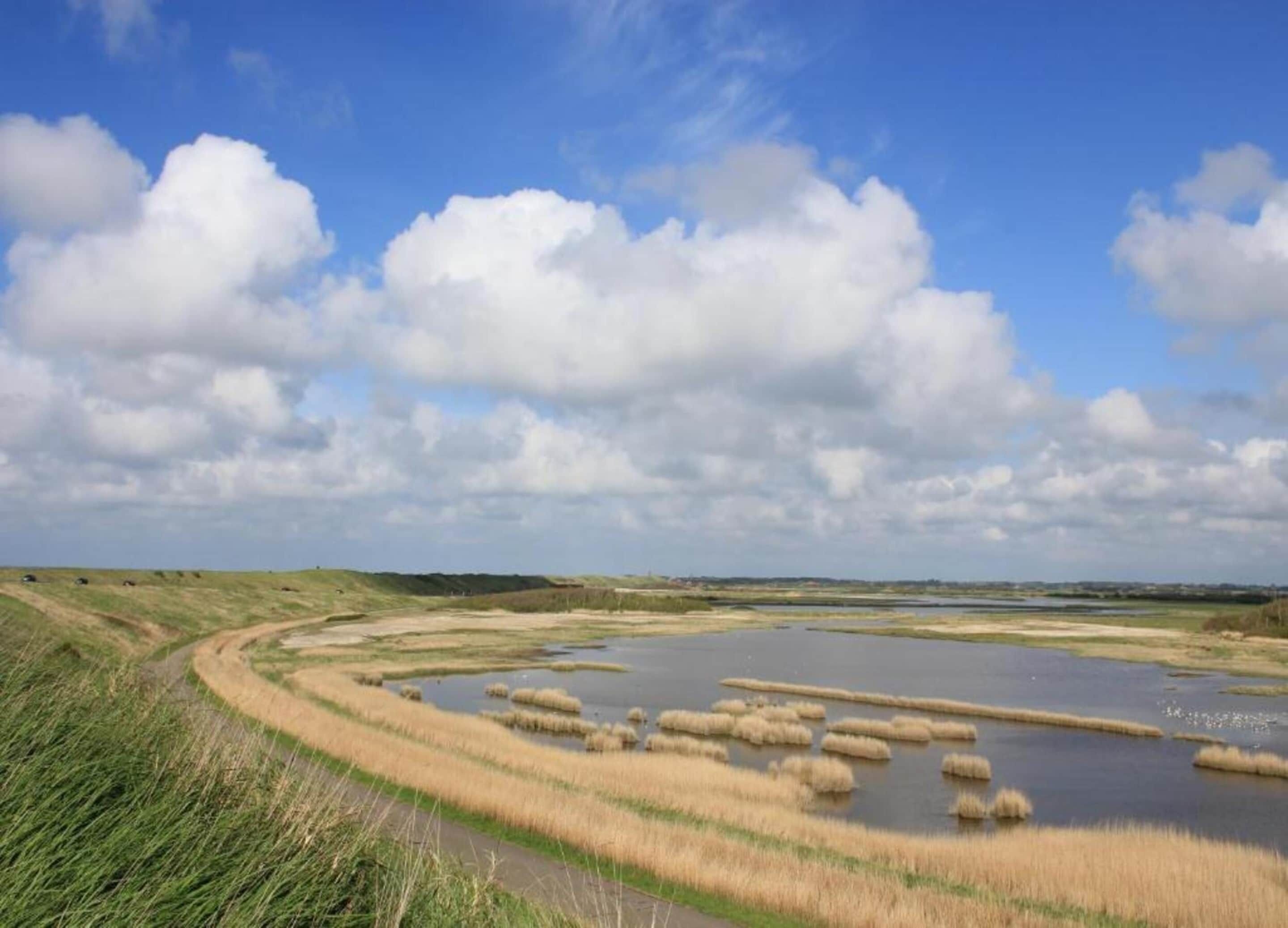 A landscape with a winding dirt path, a body of water, and grassy banks.