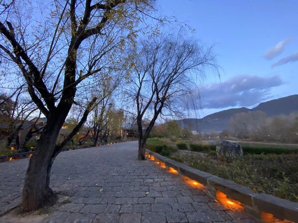Vue sur la campagne depuis l’hébergement