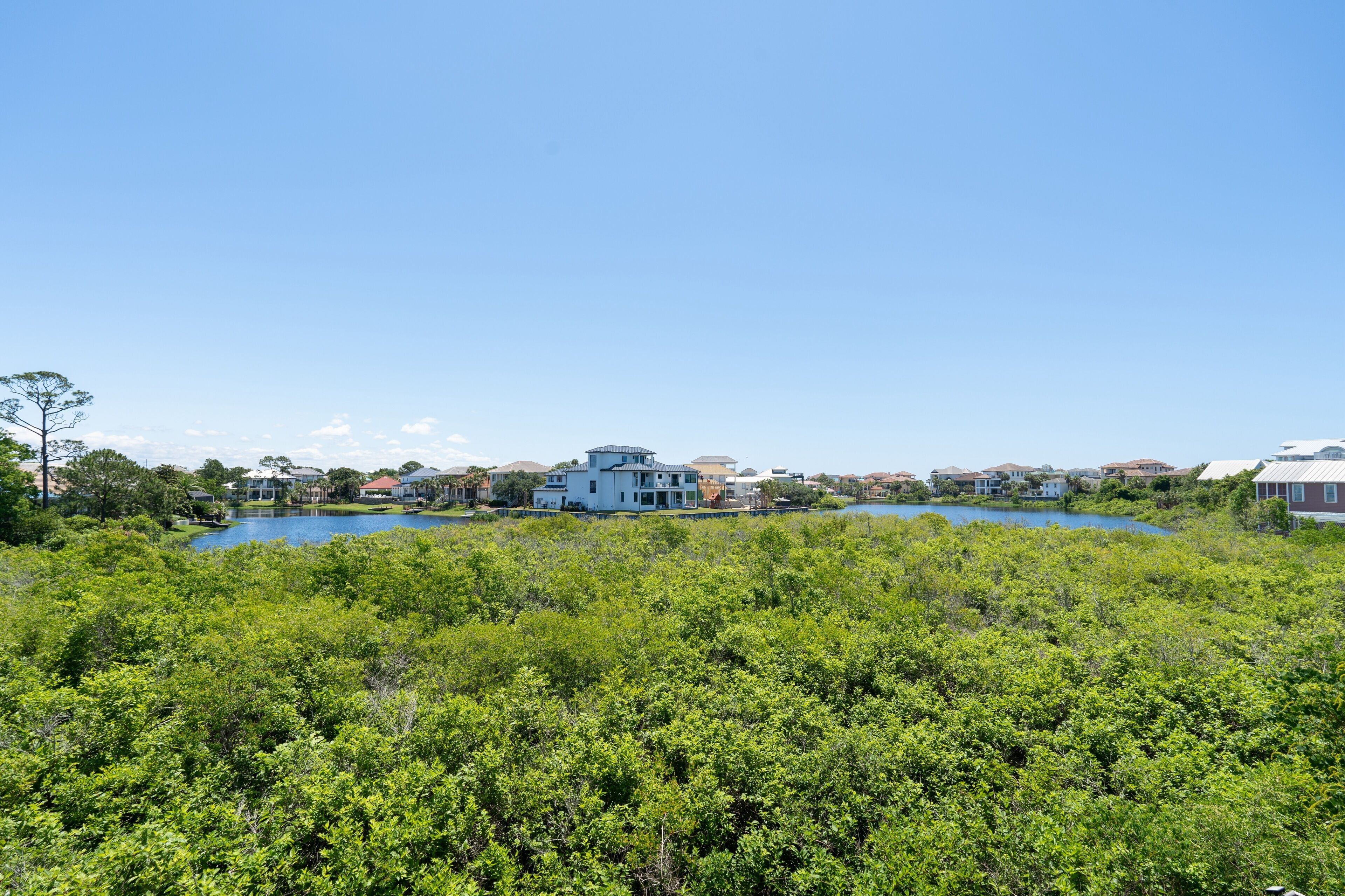 A residential area with houses, a lake, and dense greenery.
