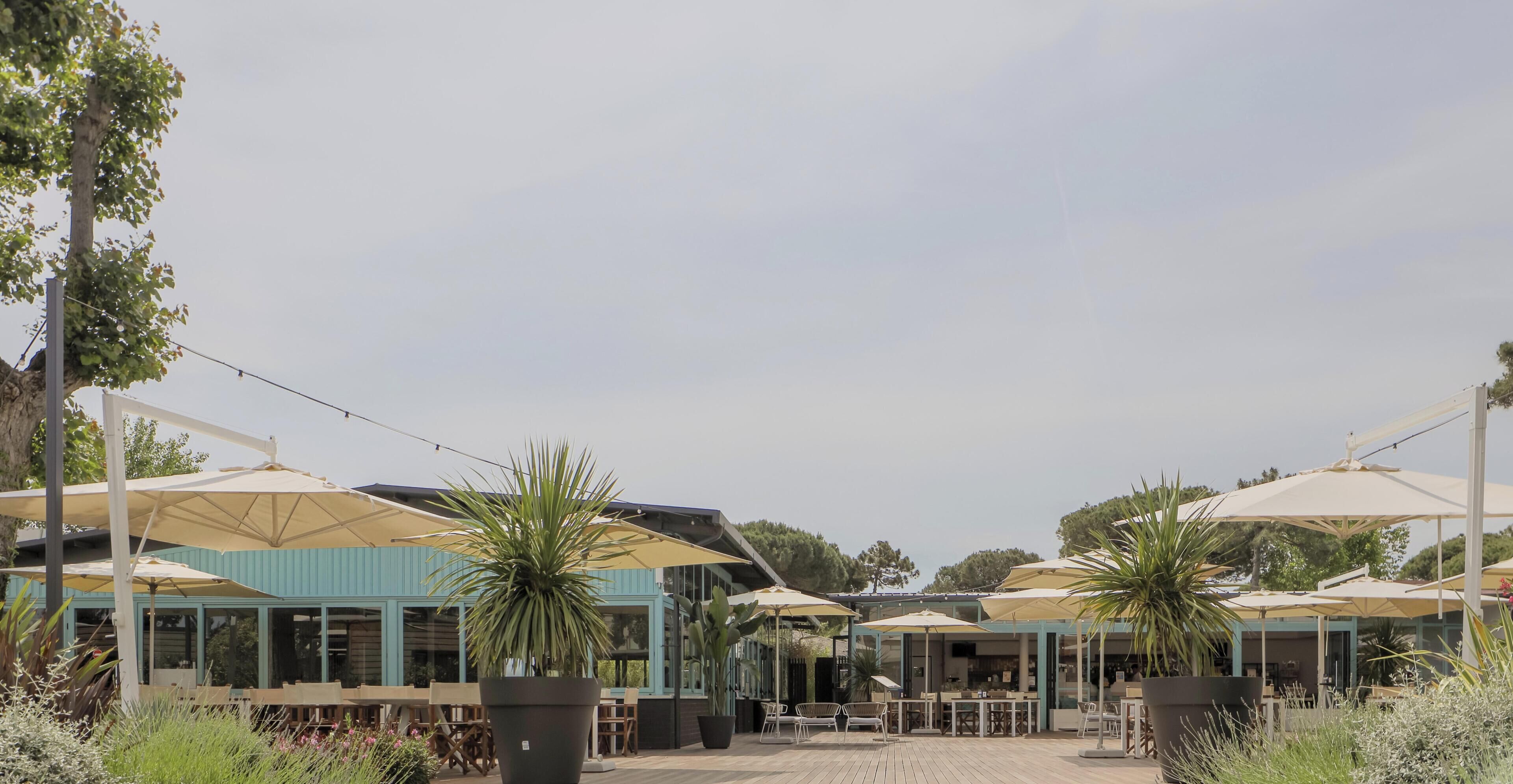An outdoor seating area with tables and chairs under umbrellas, surrounded by potted plants and trees.