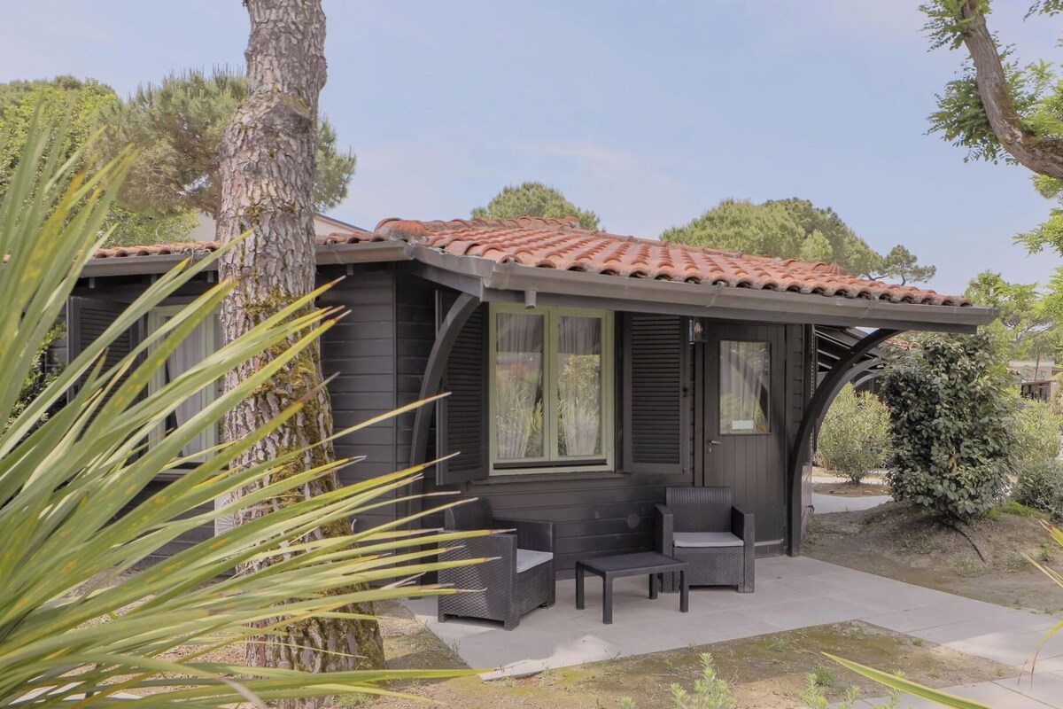 Chalet Comfort
