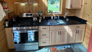 Een kleine keuken met houten wanden, een kookplaat, oven en een raam met uitzicht op de omgeving.