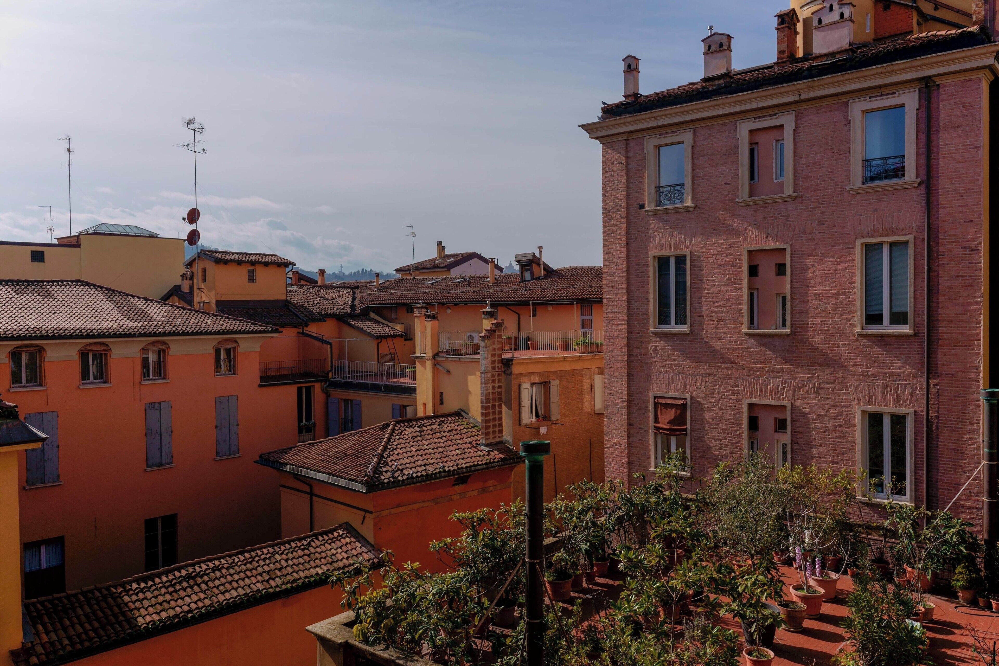 Foto - Le Suites dell'Edera