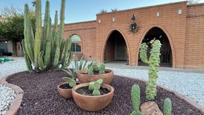 A cactus garden with several potted cacti in front of a brick building with arched doorways. - Charming Mesa Golf Course Home (Mesa)