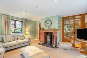 TV, fireplace