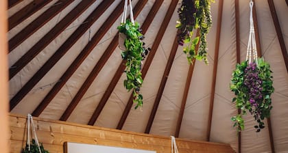 Secluded Oceanfront - Upstairs