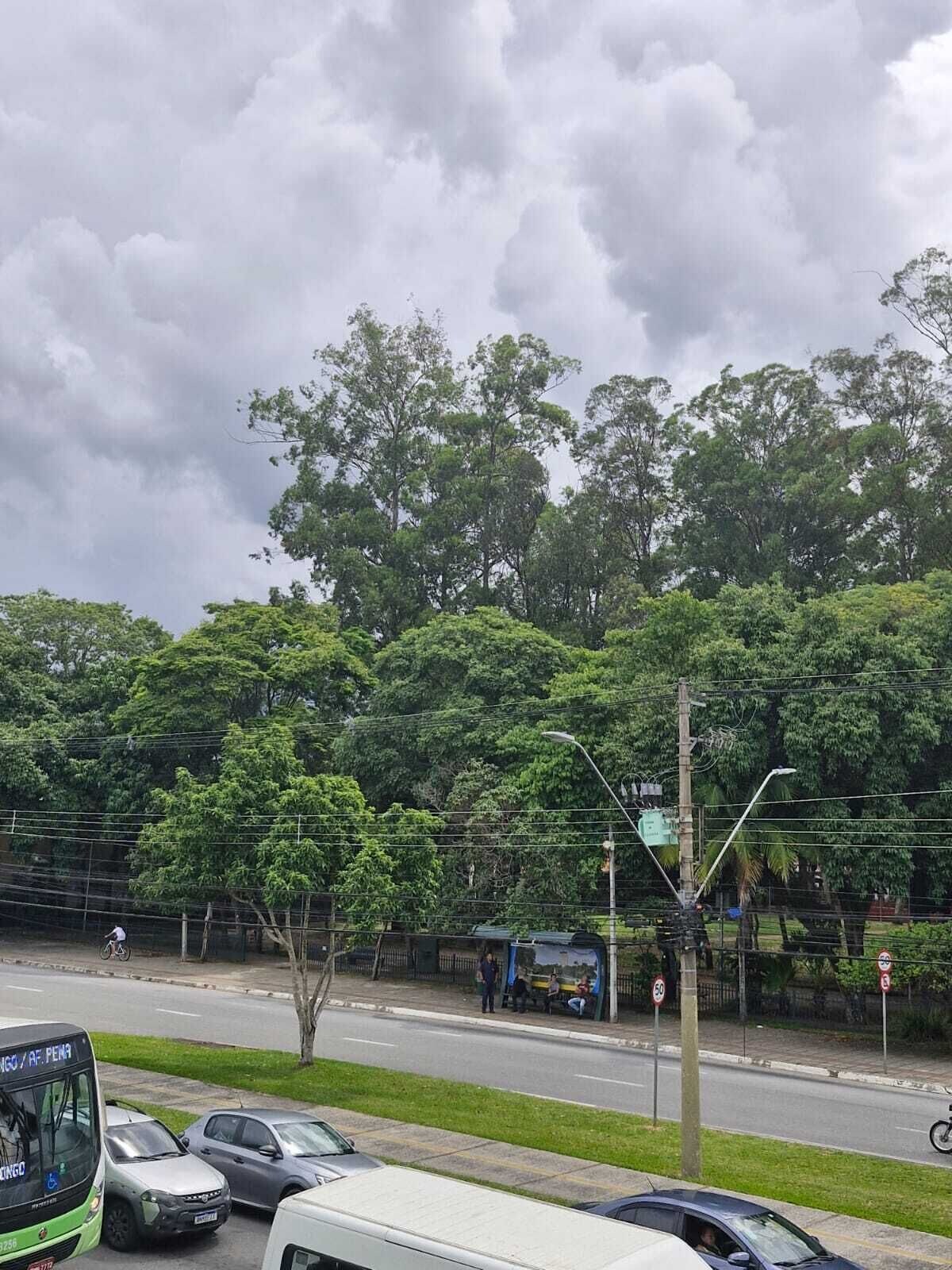 Imagen de perfil del propietario o de la propietaria