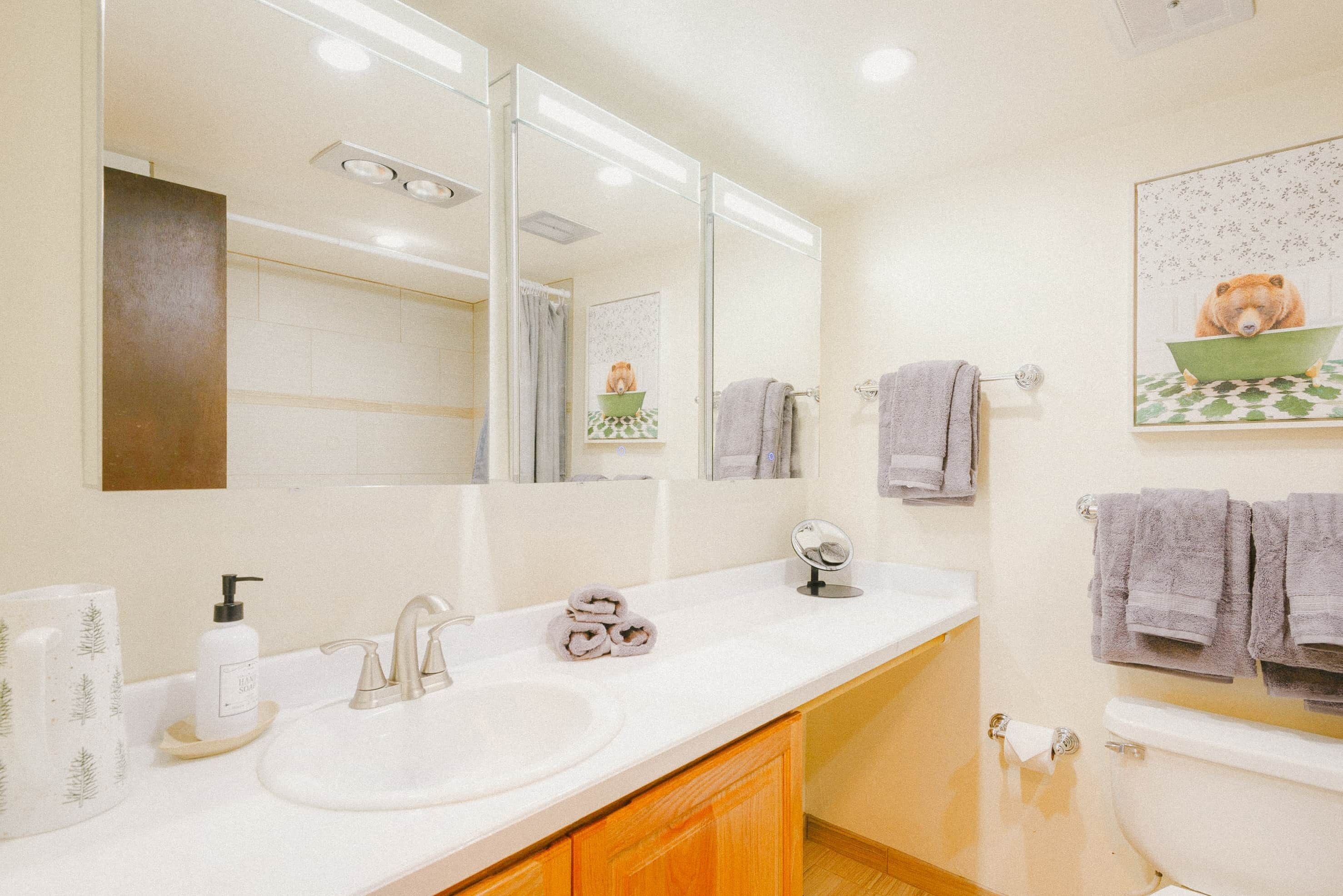 Hair dryer, towels