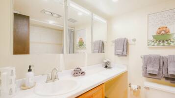 Hair dryer, towels