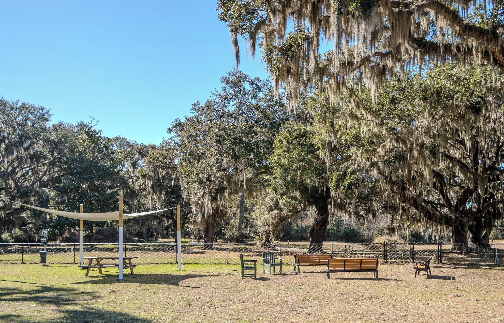 Un parc équipé de tables de pique-nique, de bancs et d’un hamac, le tout installé sous de grands arbres couverts de lianes espagnoles.