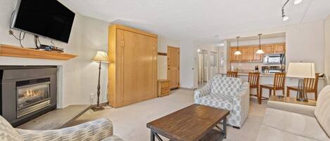 Tv, pejs, dvd-afspiller