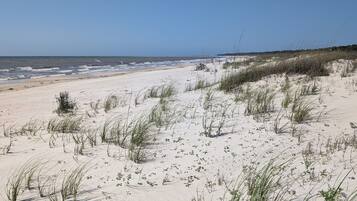 En la playa y camastros