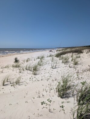 En la playa y camastros