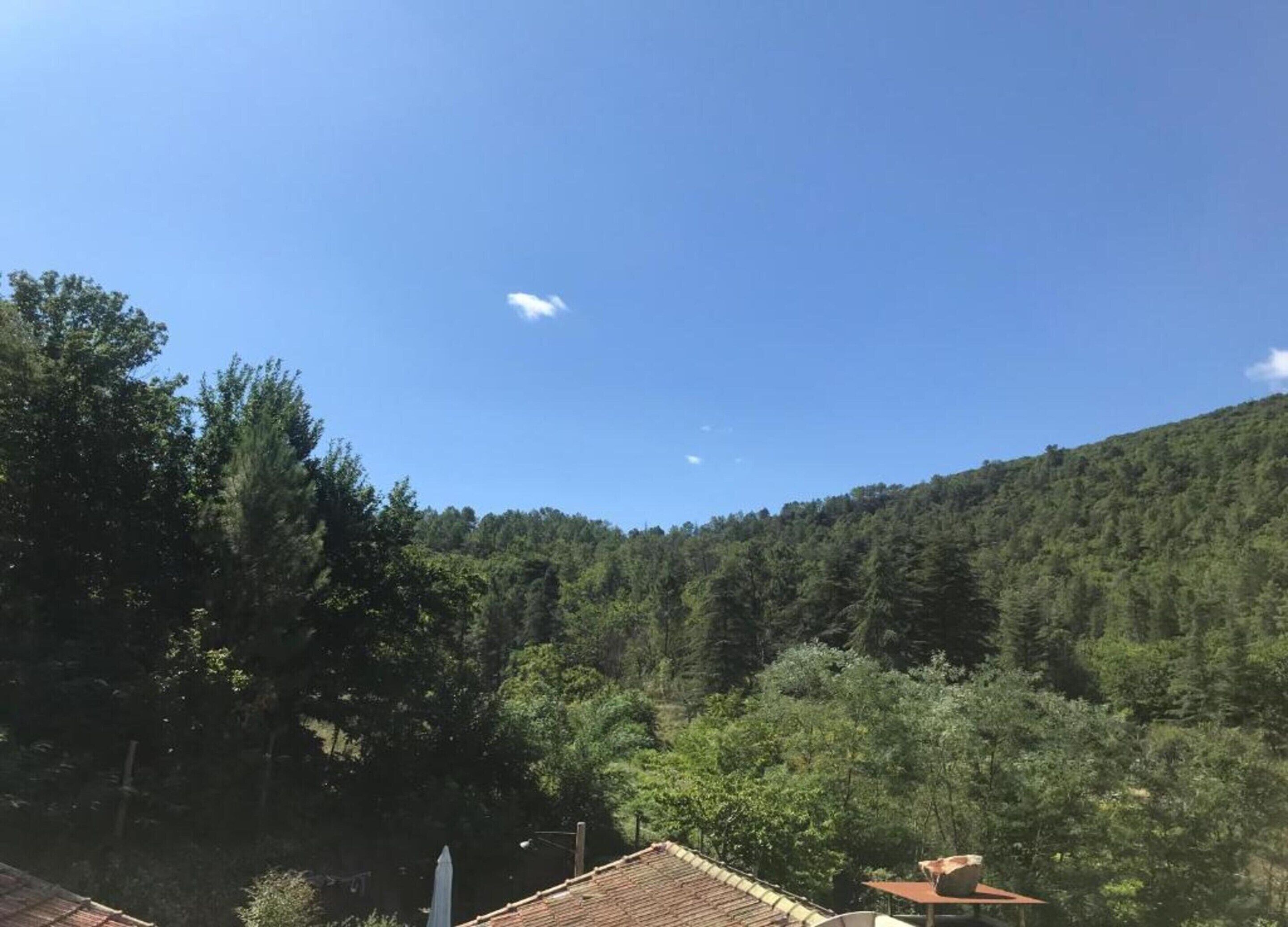 A view of a forested hillside with a clear sky.