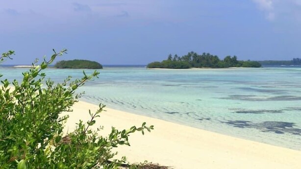 A beach with clear turquoise water, sandy shore, and distant islands. - Dhontakuru Guesthouse (Dhidhdhoo)