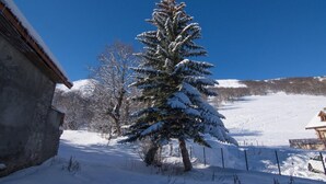A snow-covered landscape with a large evergreen tree, a stone building, and a fenced area with a car.