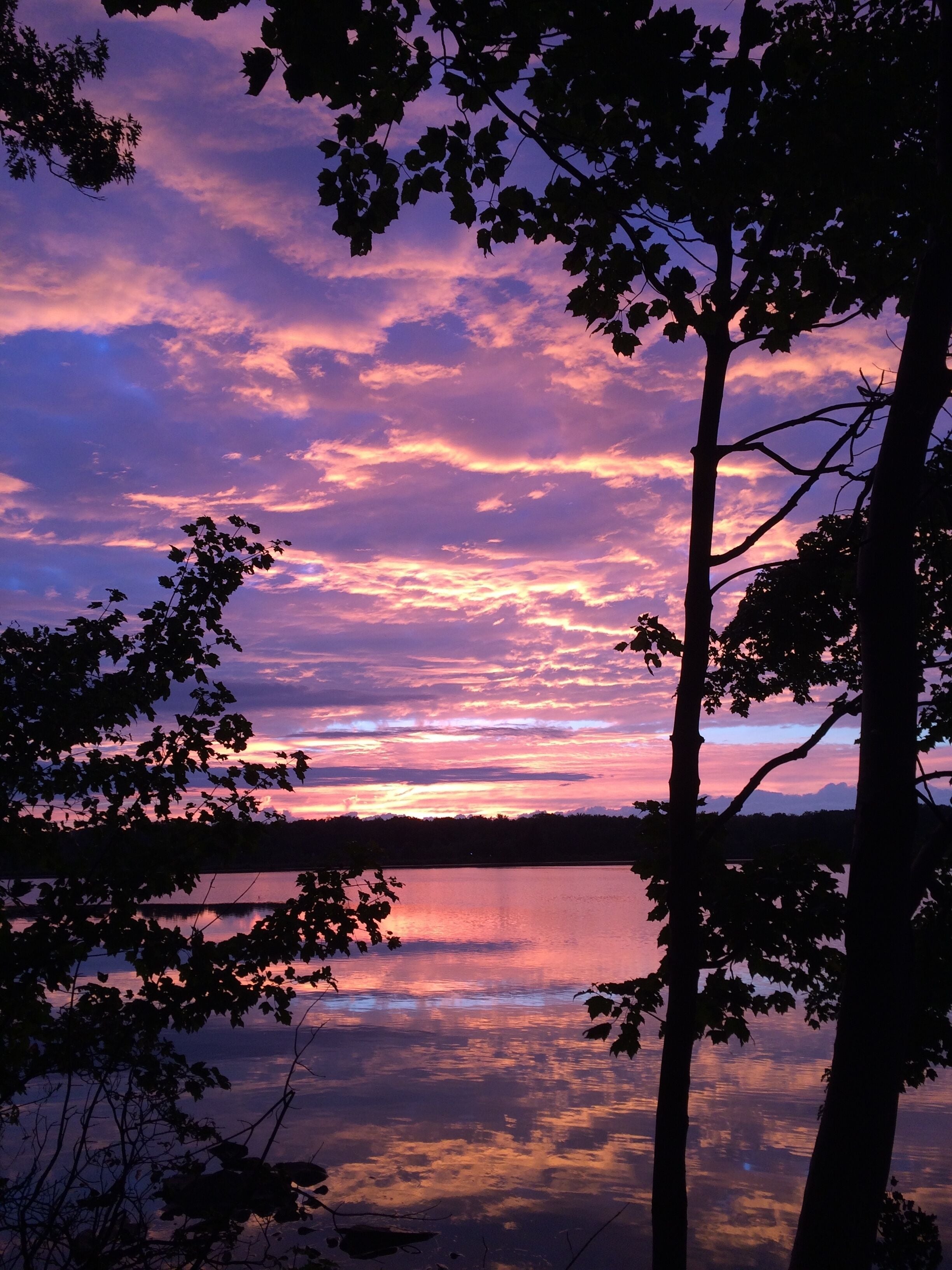 A sunset over a lake with trees silhouetted against the sky.