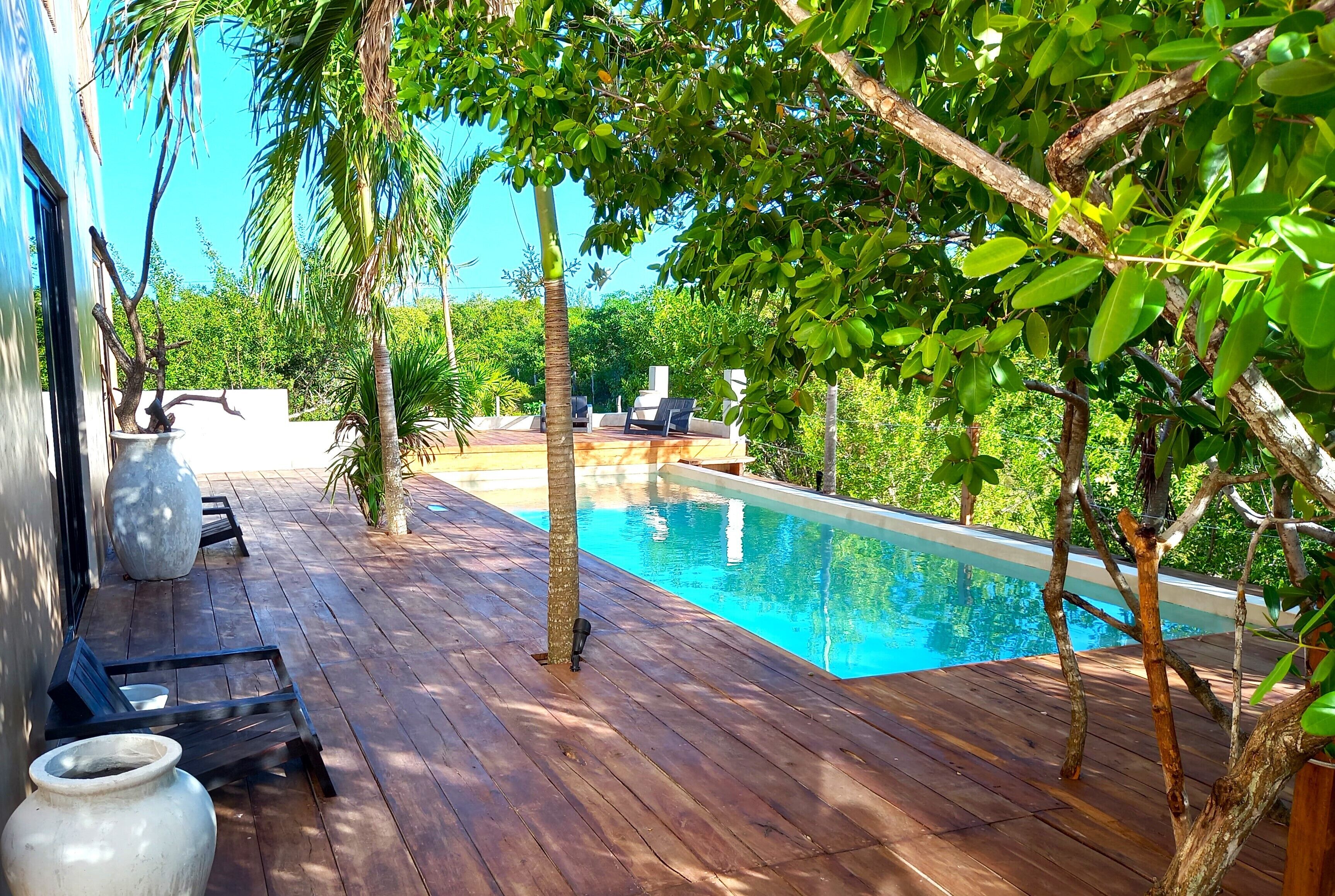 Foto - Piquete Holbox