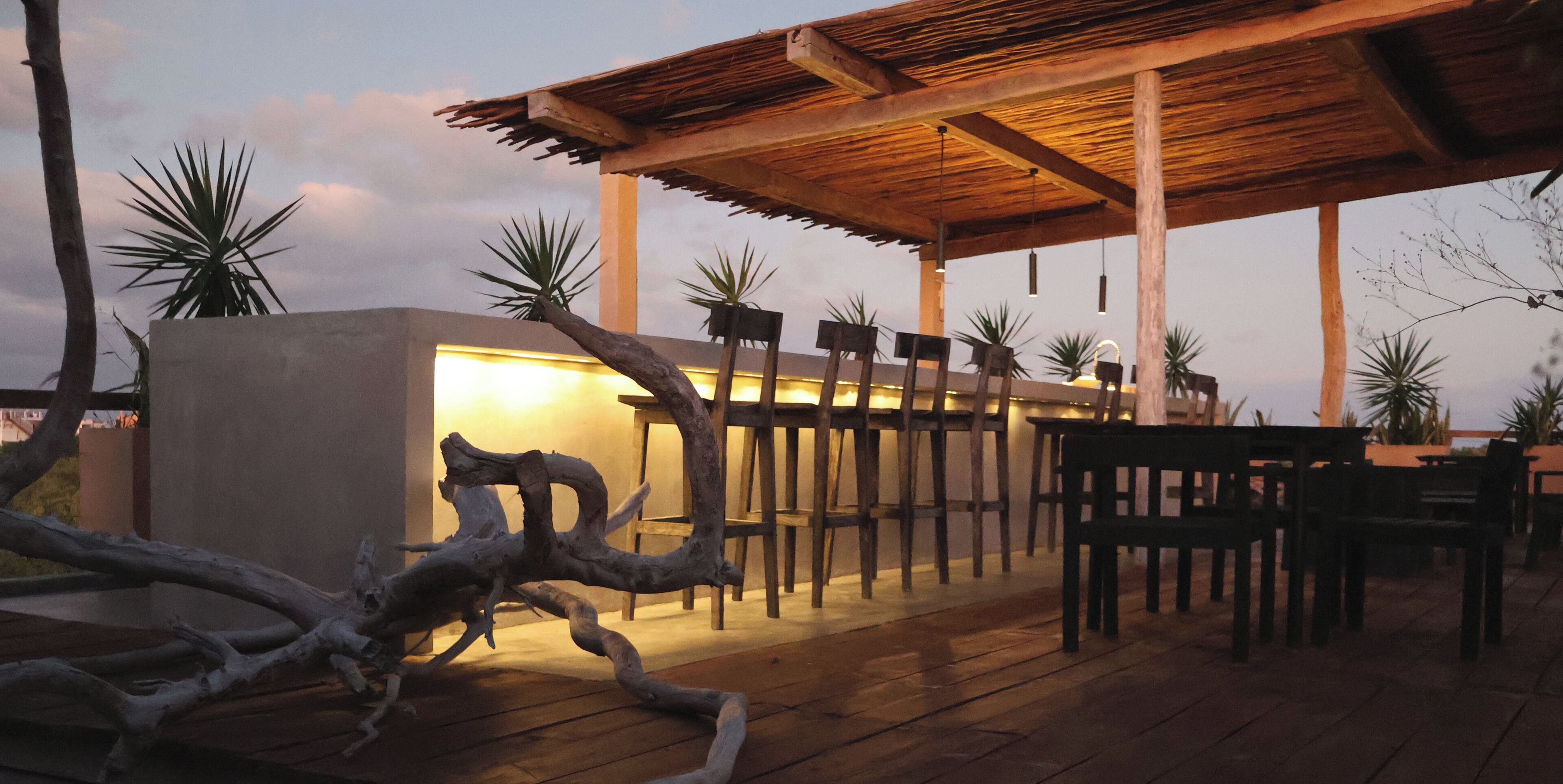 Foto - Piquete Holbox