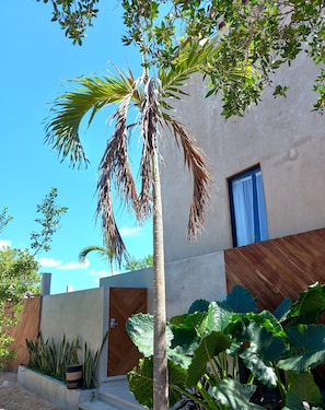 Stylish building with an entrance and lush greenery.