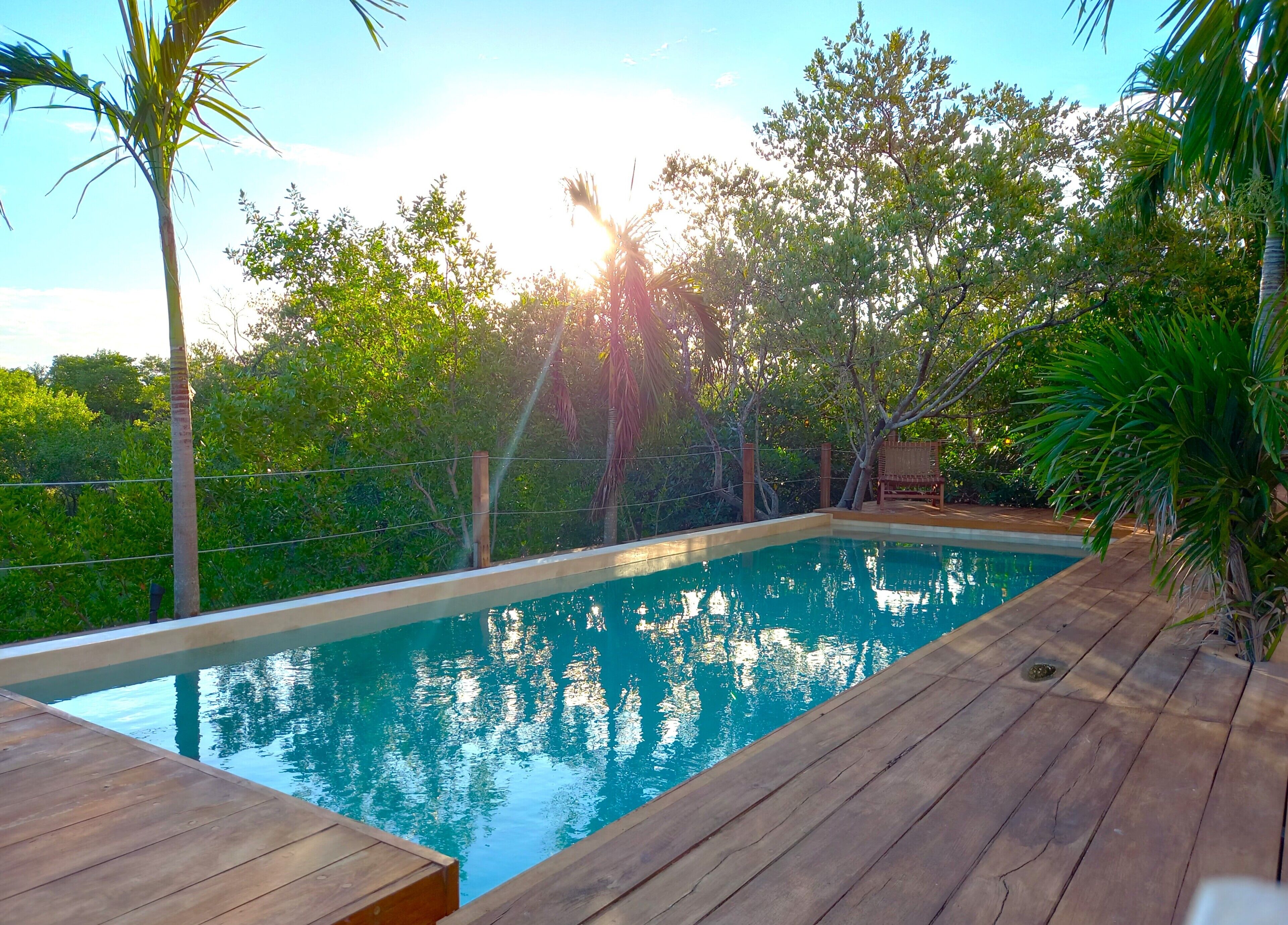 Foto - Piquete Holbox