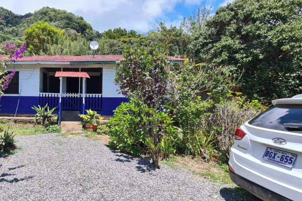 A house with a gravel driveway leading to a red-tiled entrance, surrounded by lush greenery and purple flowers.