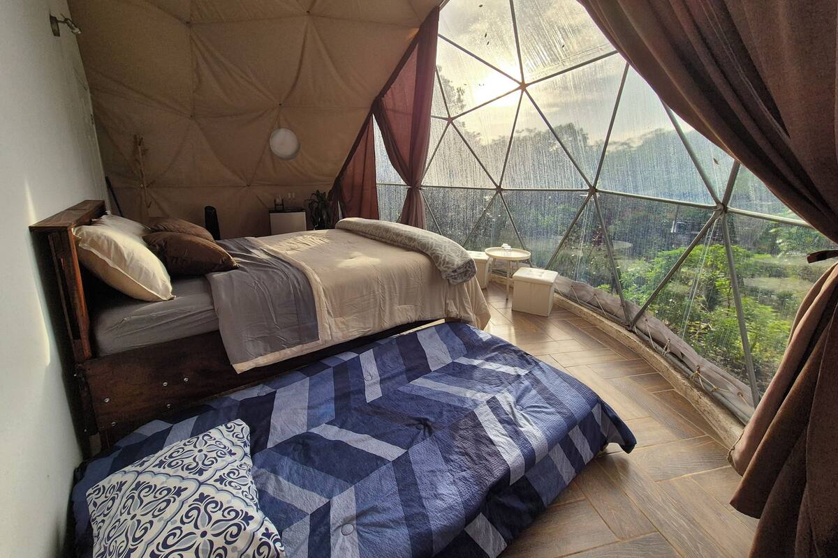 A bedroom with a bed, a small table, and a view of greenery through a large window.