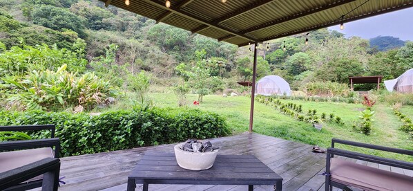 Terras