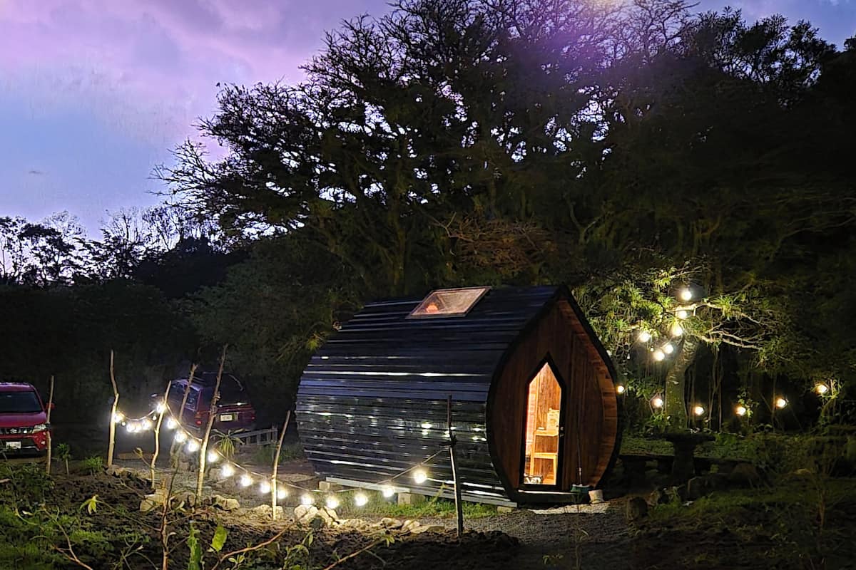 A small, wooden, barrel-shaped structure with a skylight, surrounded by string lights and set in a natural landscape.