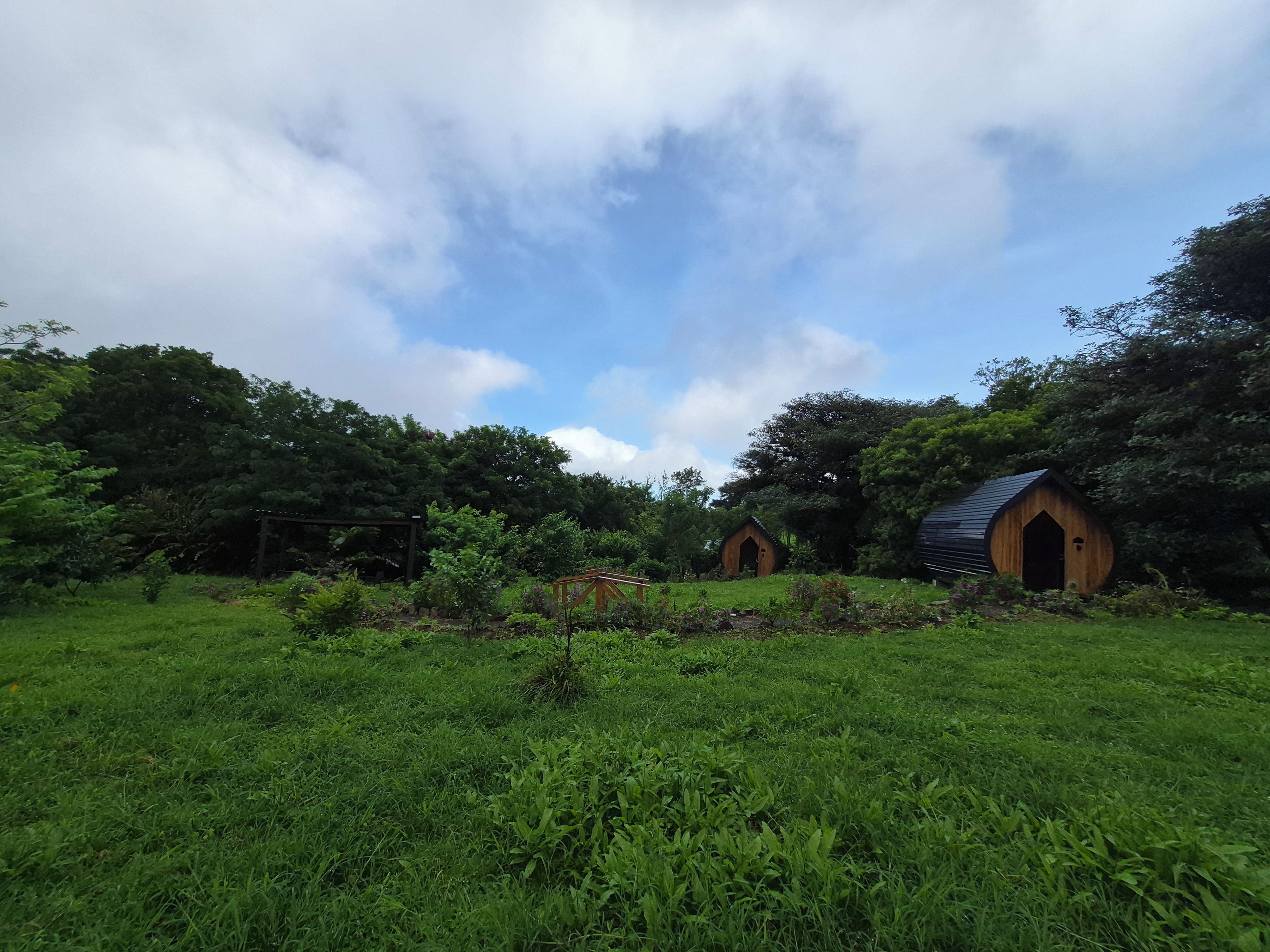 A grassy field with two wooden structures, one with a gabled roof and another with a curved roof, surrounded by dense foliage.