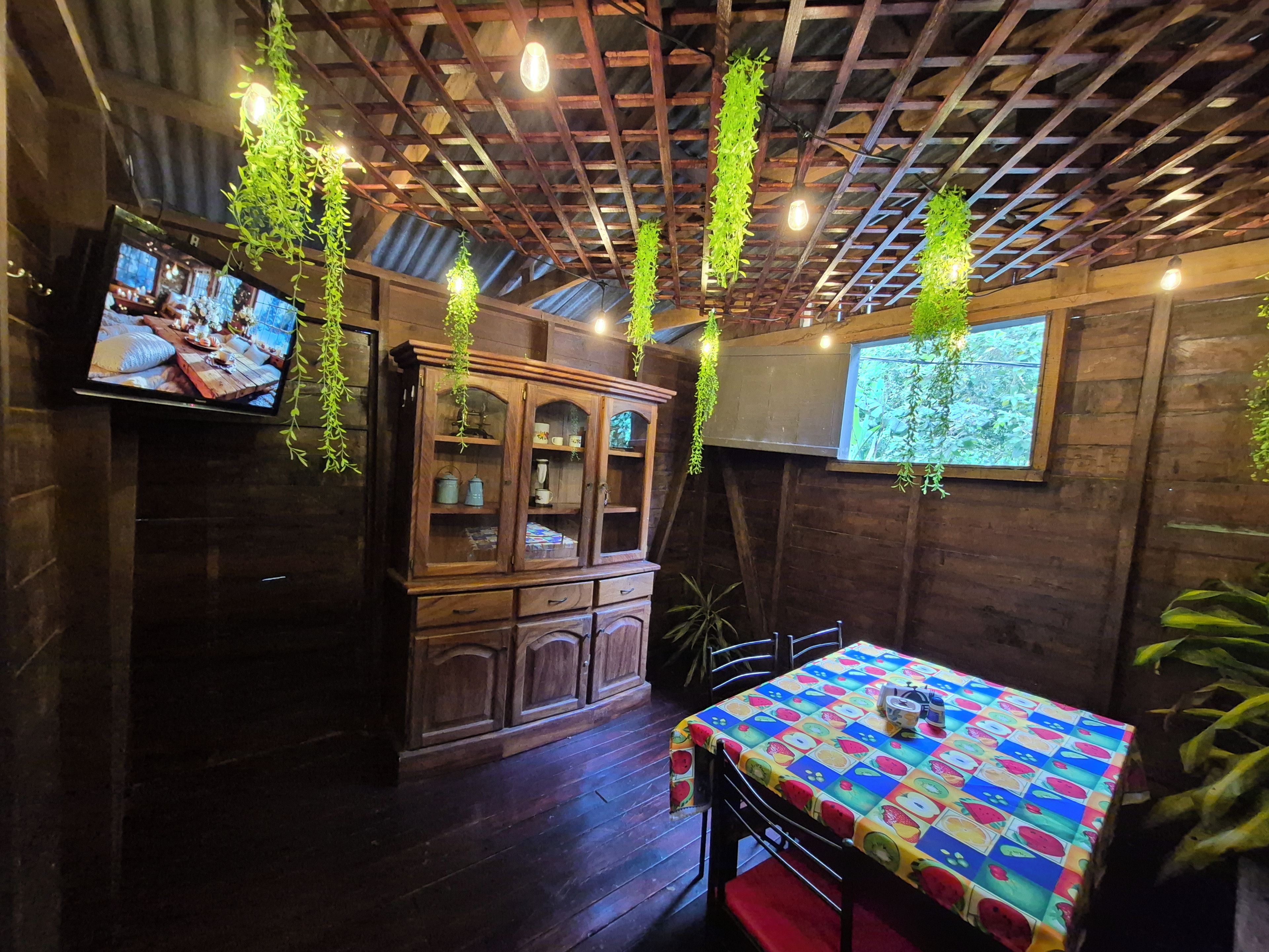 A rustic interior with a wooden ceiling, hanging plants, a television, and a table with a colorful tablecloth.