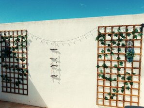 Property grounds - LUNA HOUSE 😎 (Santiago de la Ribera)