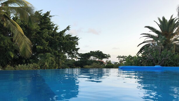 On peut clairement voir une piscine bordée de bleu, entourée d’une végétation luxuriante et de palmiers.