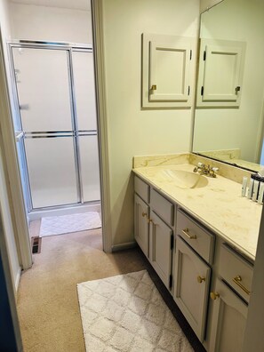 Shower, towels, toilet paper